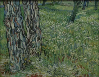 Baumstämme im Gras